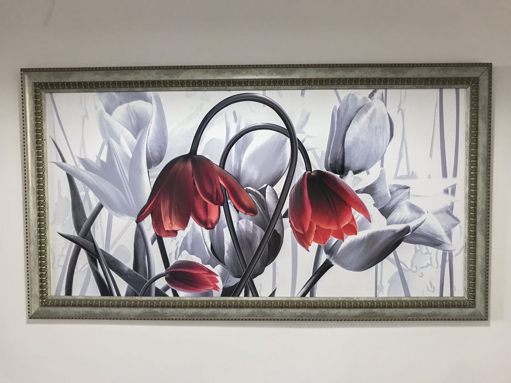 תמונות לבית בגדלים שונים