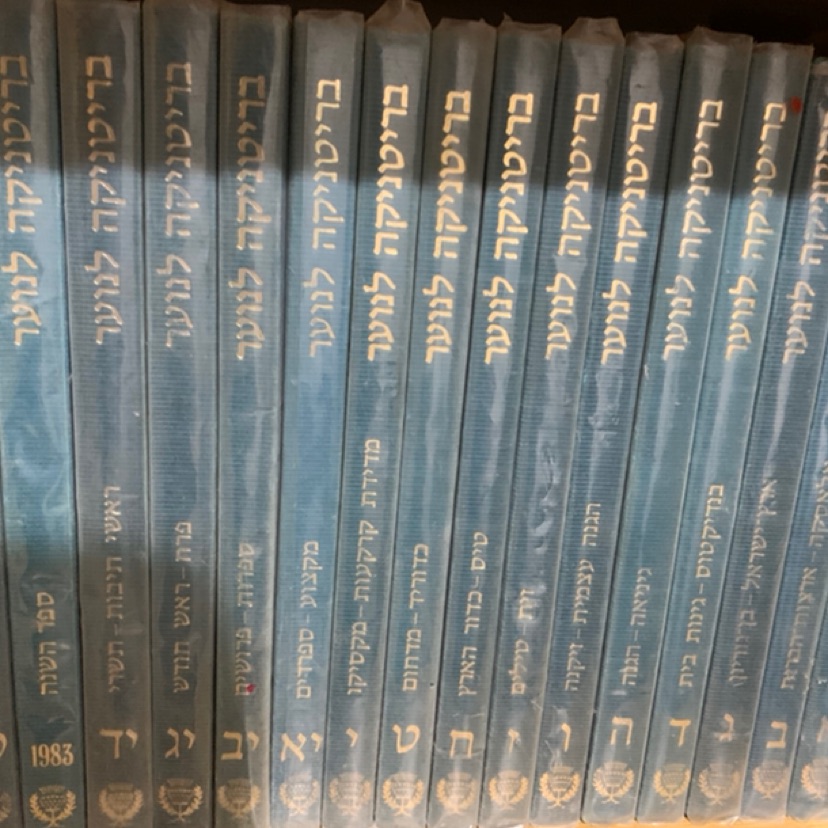 אינציקלופדיות(בריטניקה לנוער-400 שח, מילון אבן שושן-150 שח, מילון עברי אנגלי/אנגלי
 עברי  150 שח , סדרה של גוף האדם -200  שח, תנך קאסוטו 400 שח, סה״כ 1300 שח, כל הספרים עטופים, ממש כחדשים,כולל כל הכרכים.