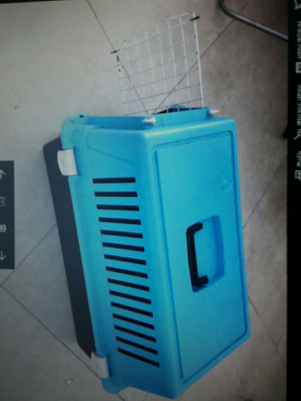 כלוב נשיאה לבע"ח