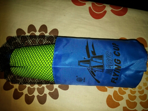 צלחת מעופפת