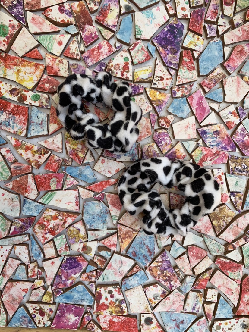 סקראנצ׳י פרה מהמם!