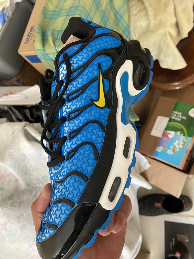 אנילביץ 31 בת ים