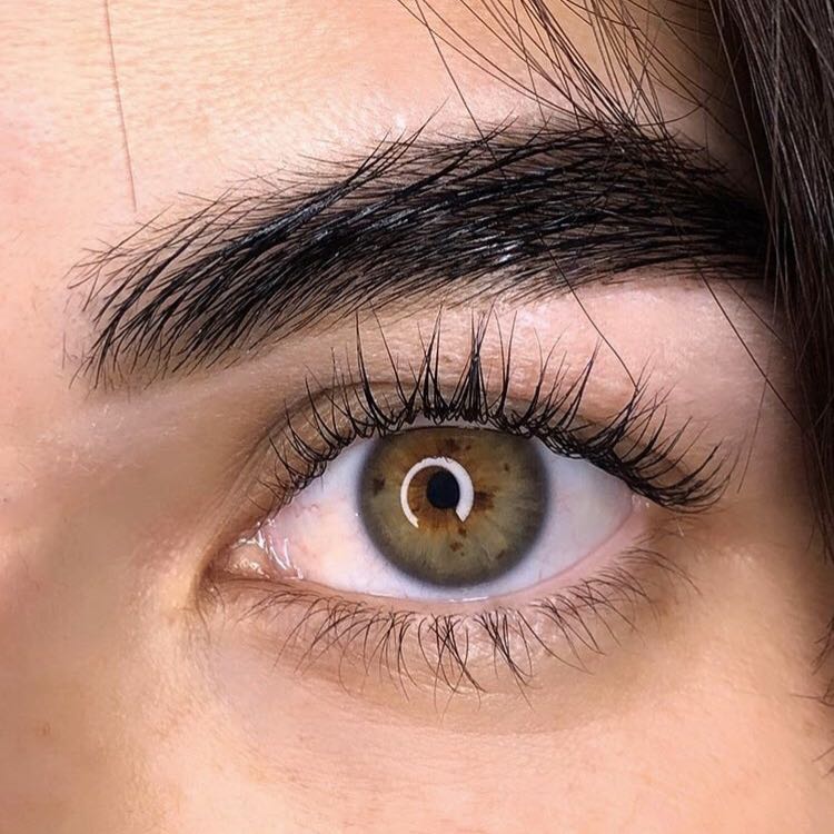 למיניציה של ריסים וגבות