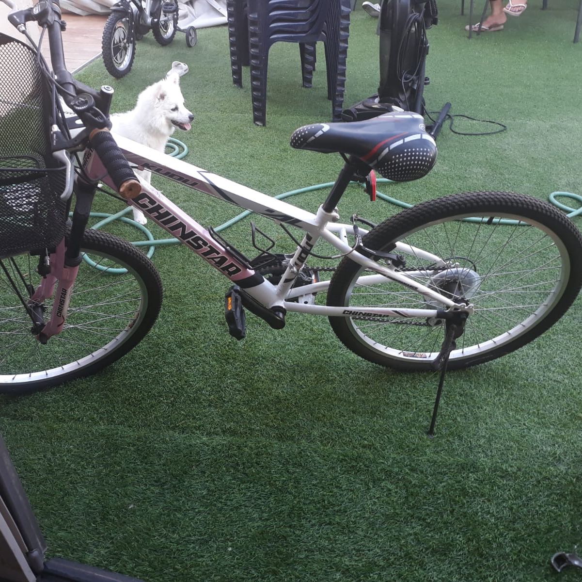 390 שח 
0506226221