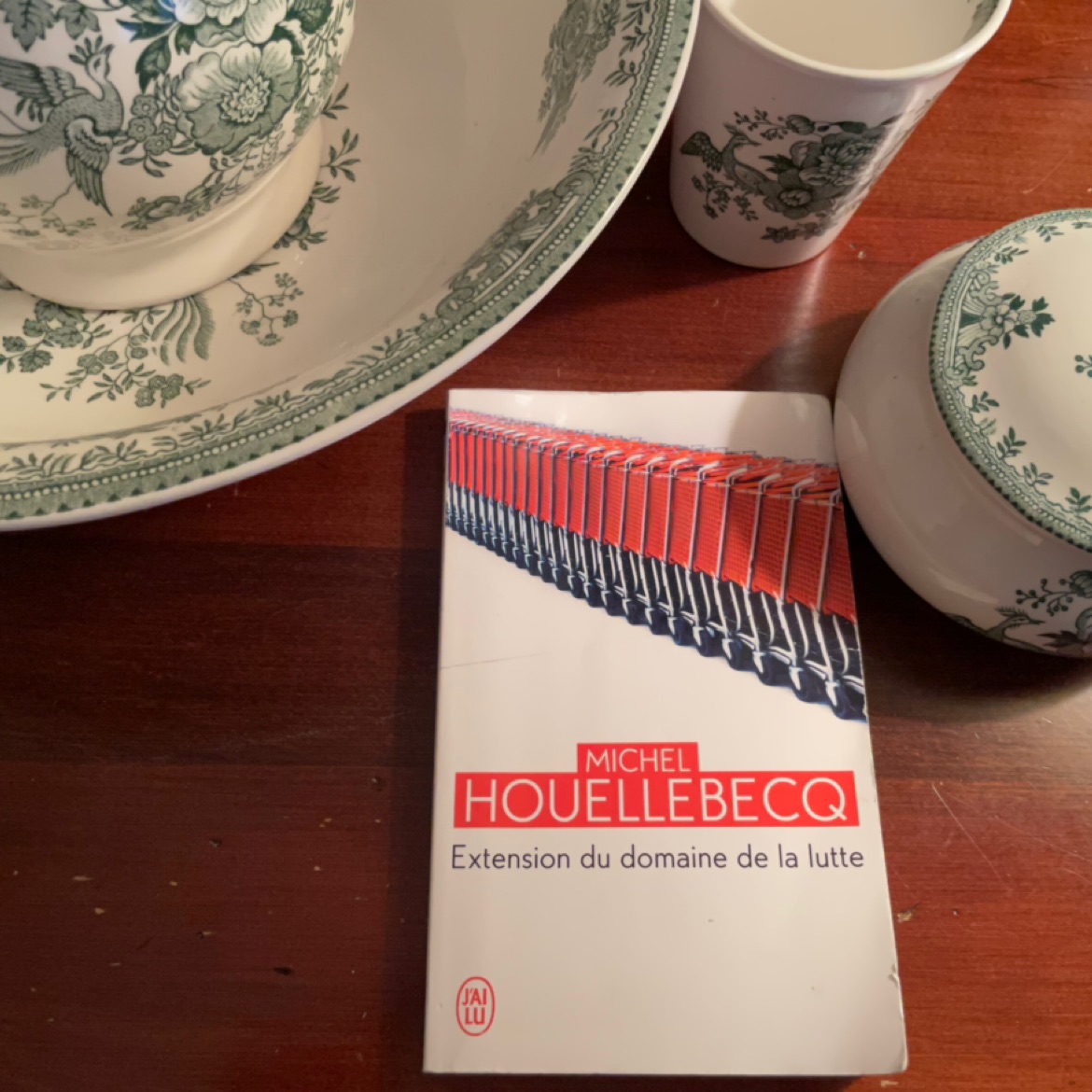 ״הרחבת תחום המאבק״/ מישל וולבק