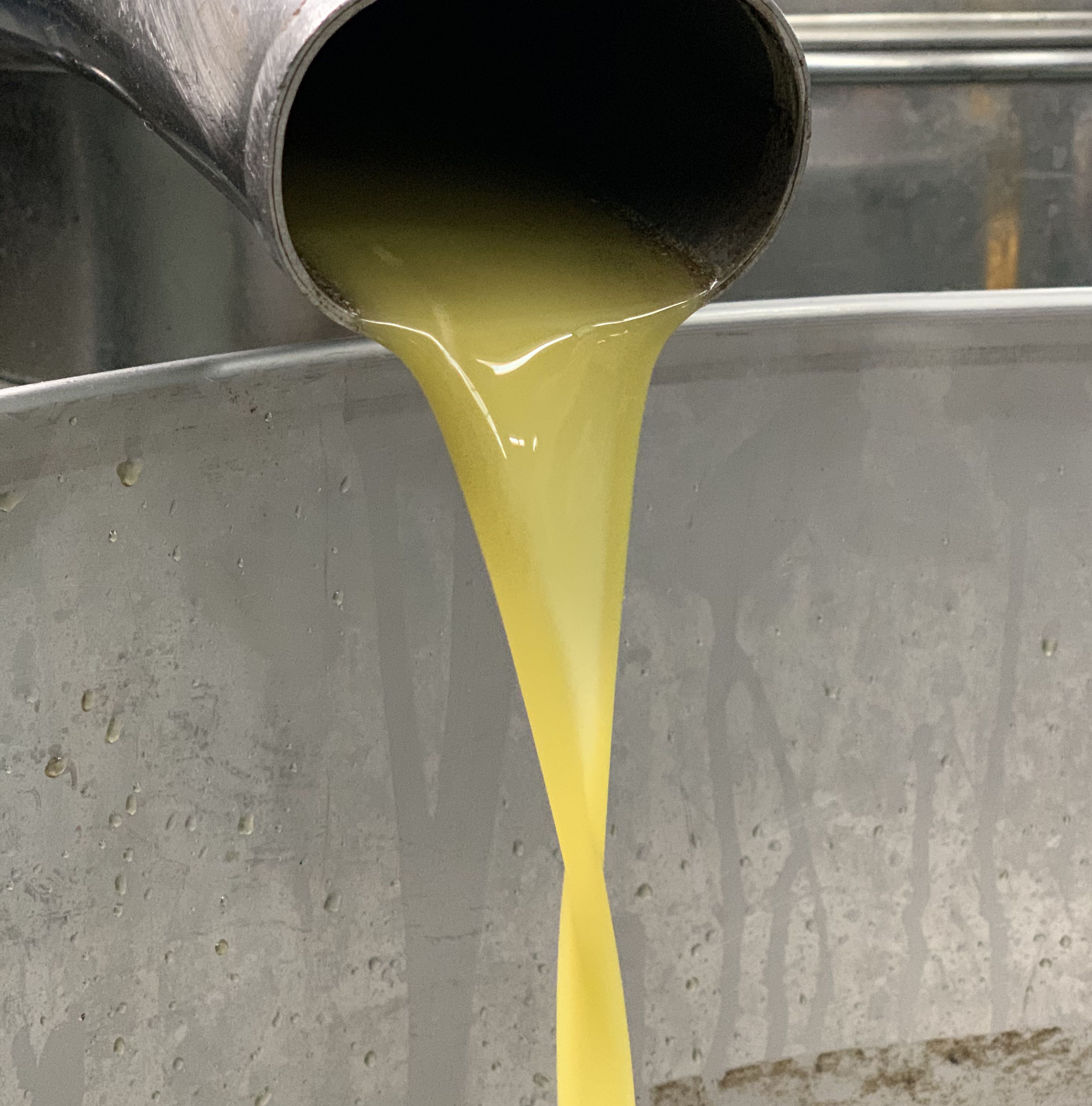 שמן זית איכותי