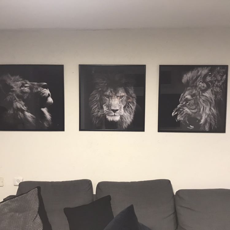 3 תמונות מהממות 60x60 כל אחת