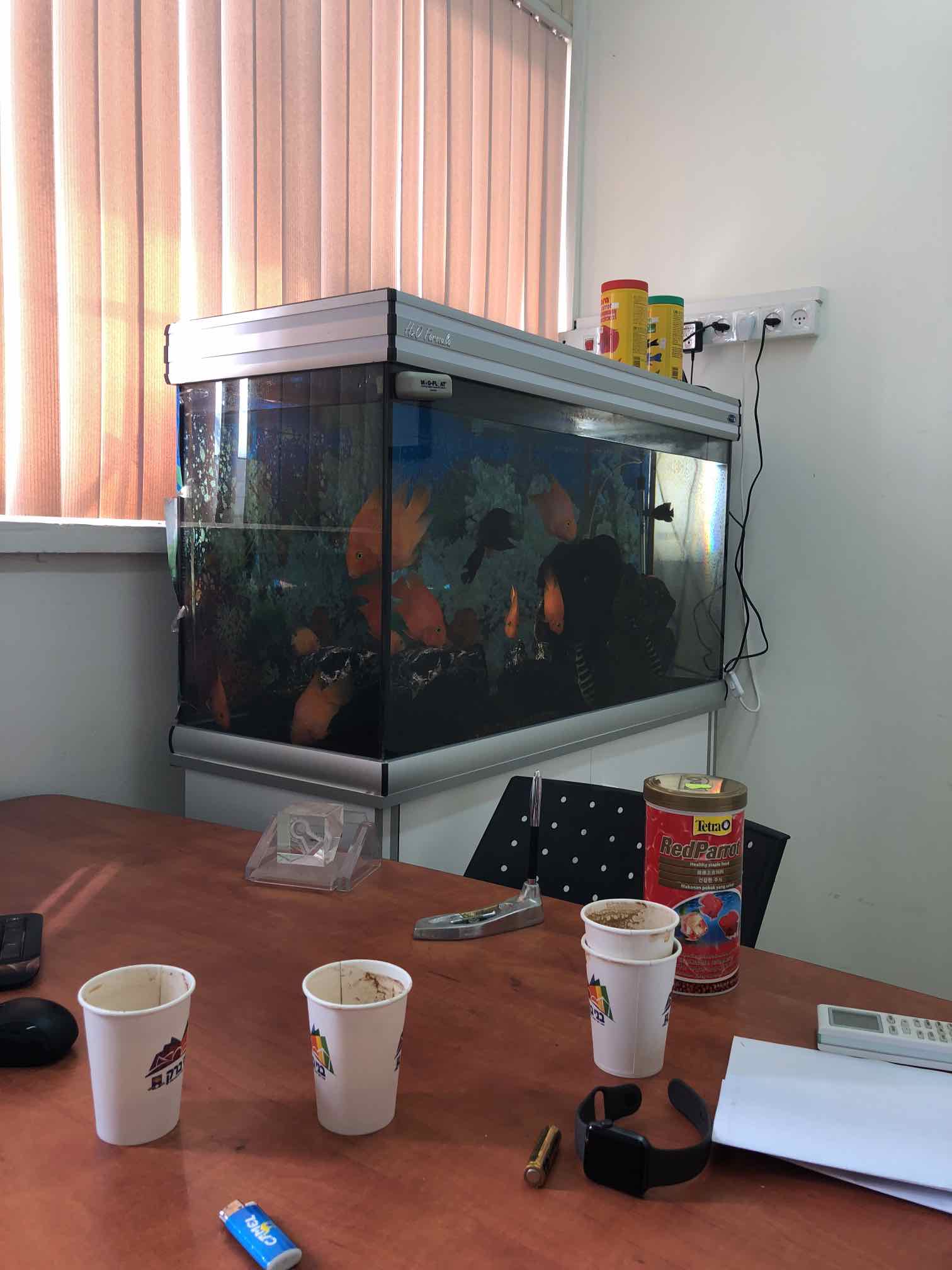 ‏אקווריום