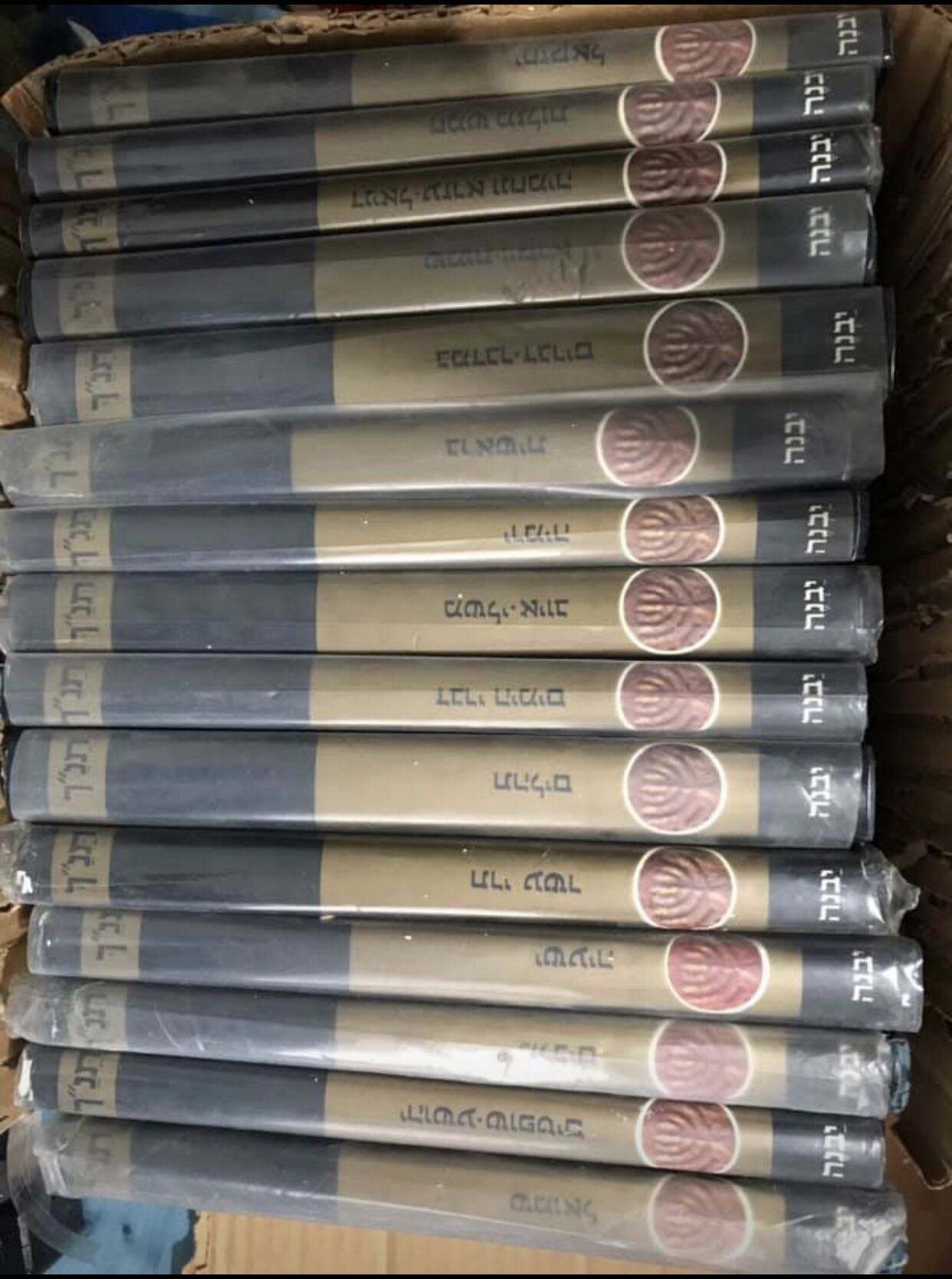 קאסוטו- כל הספרים