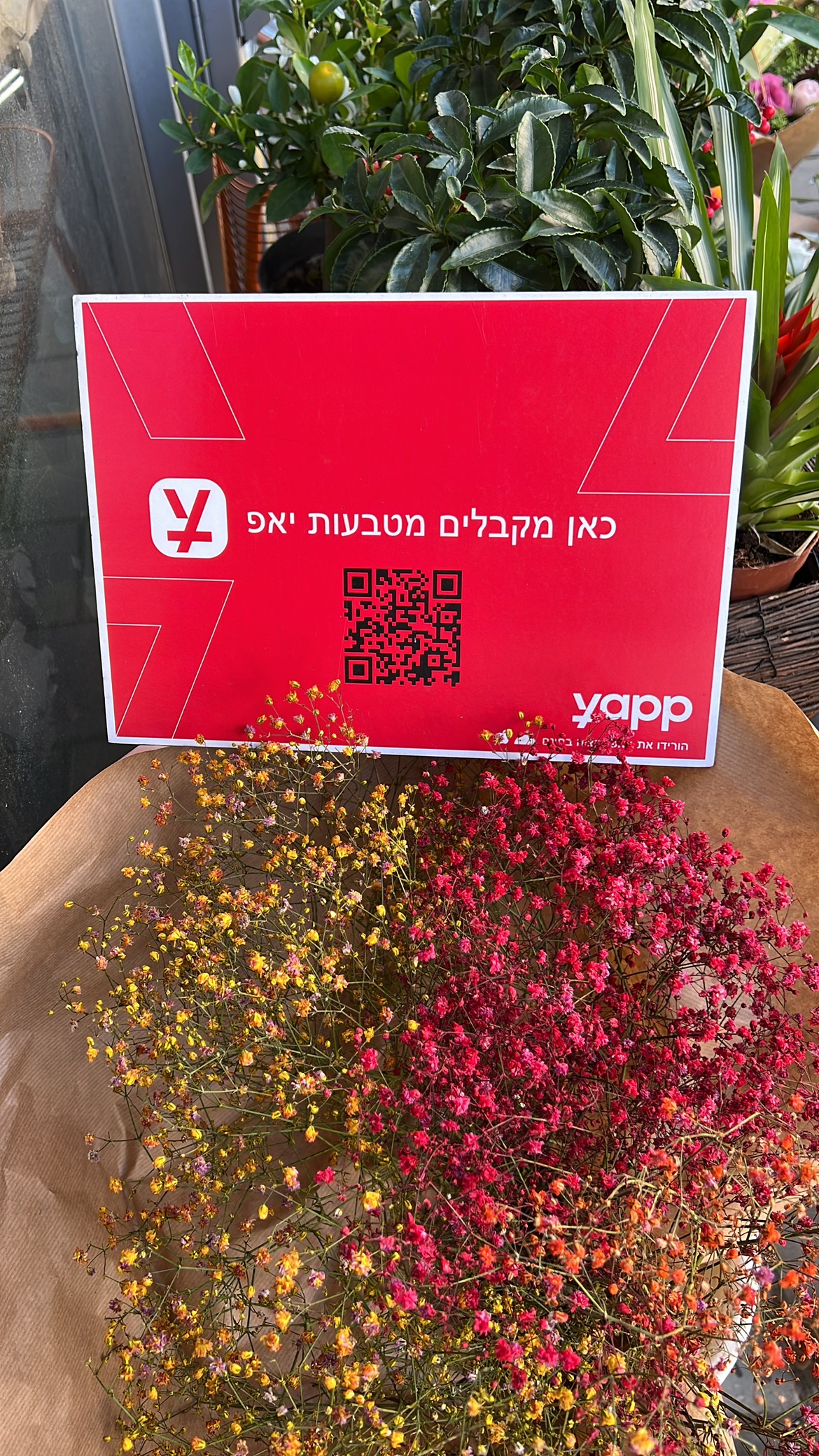 פרחים בהזמנה 