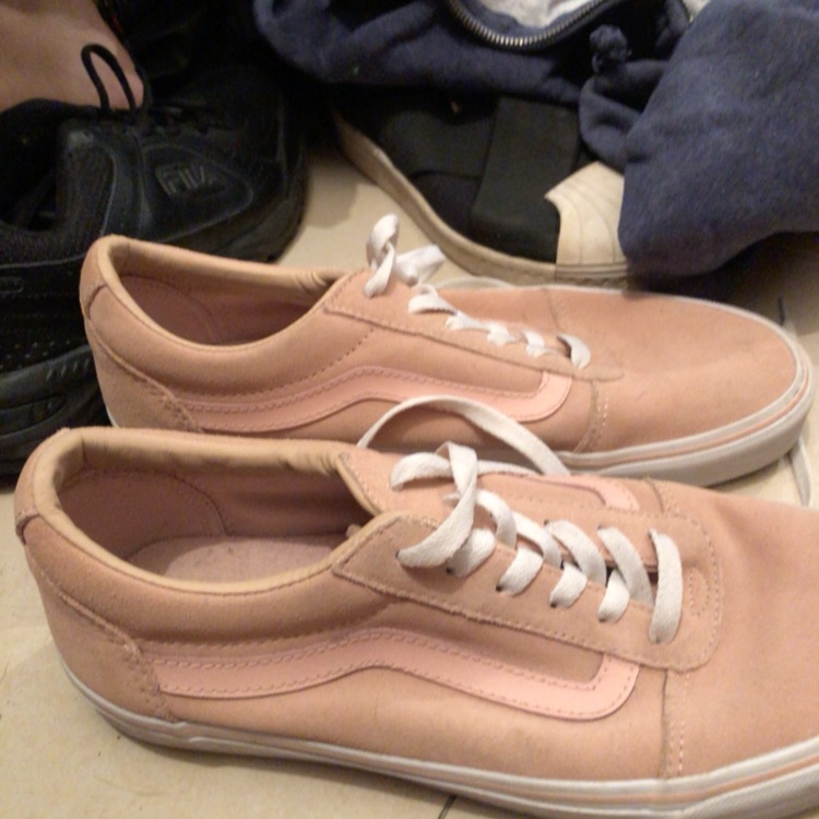 ואנס ורודות