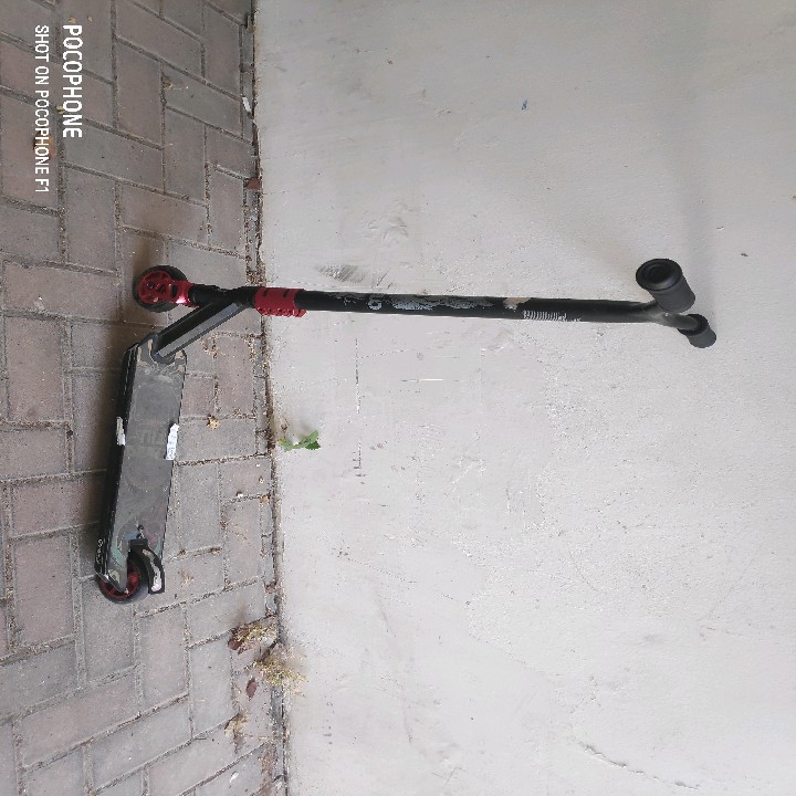 קורקינט פעלולים