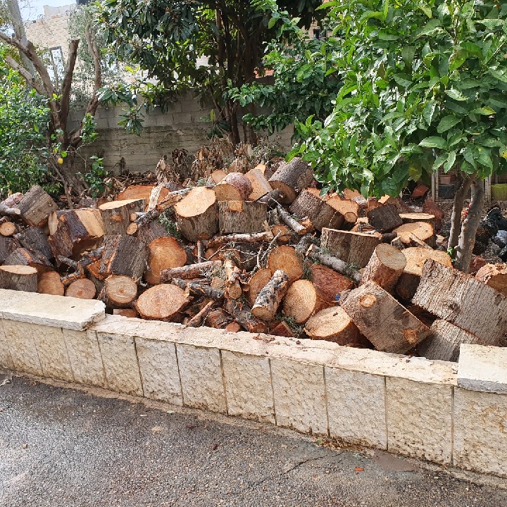 כין מוכיר עצים להסקה למענינים