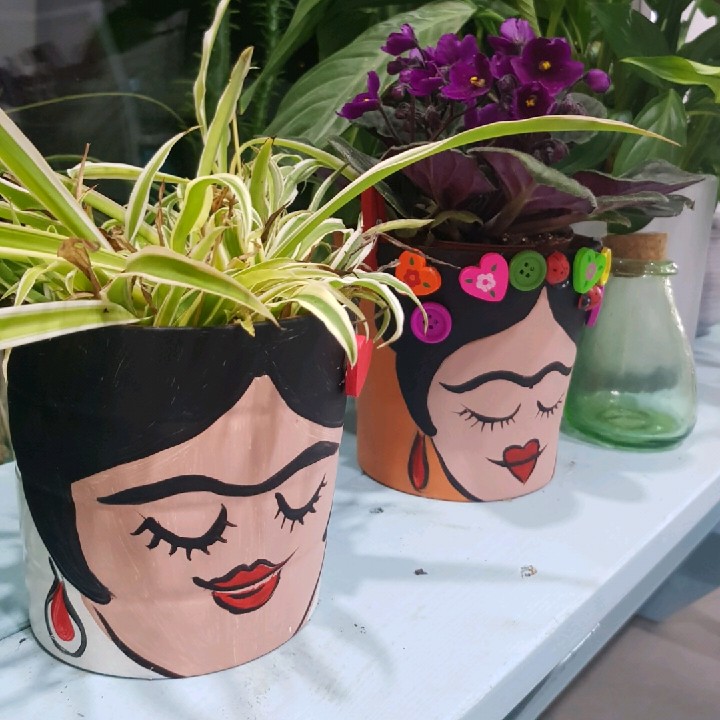 עציצי פרידה קאלו