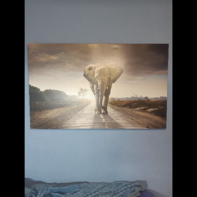 תמונת קיר מודפסת 130×80 ממש מעצבת את החדר !!!