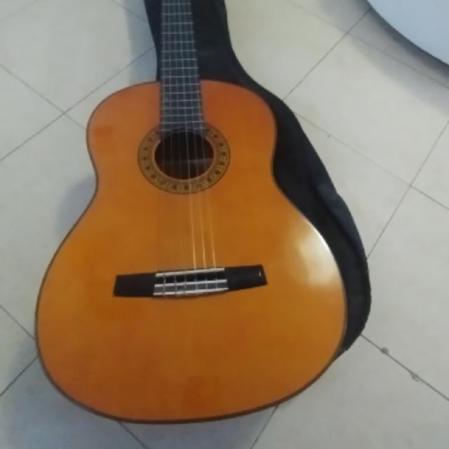 גיטרה מקצועית