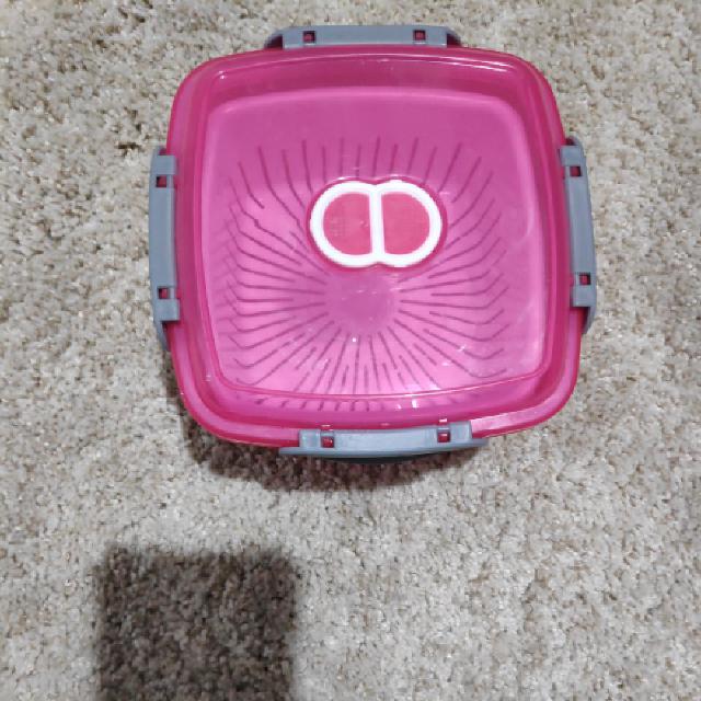 קופסת אוכל לסלט