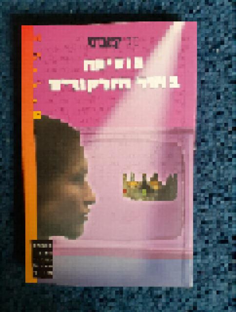 יומני הנסיכה