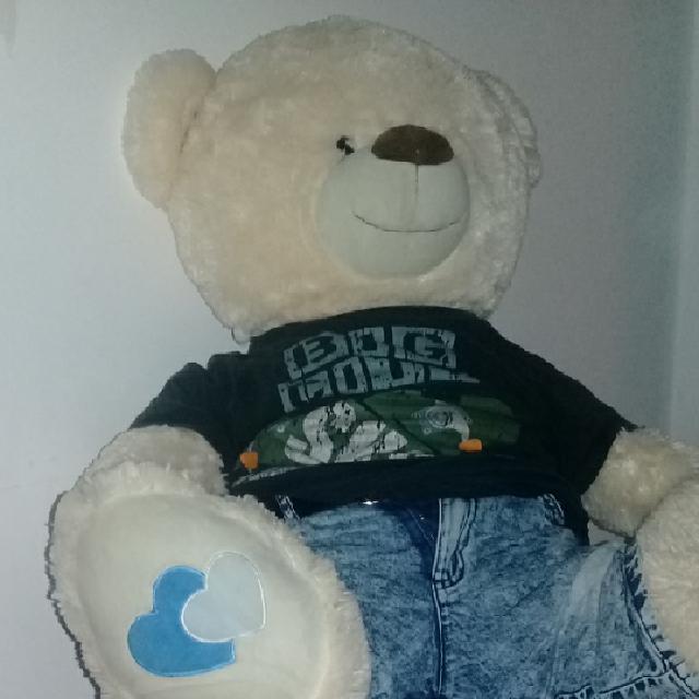 דובי גדול במיוחד וחדש עם גינס מקסטרו