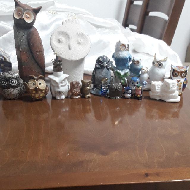 אוסף ינשופים החל 40ש"ח עד170