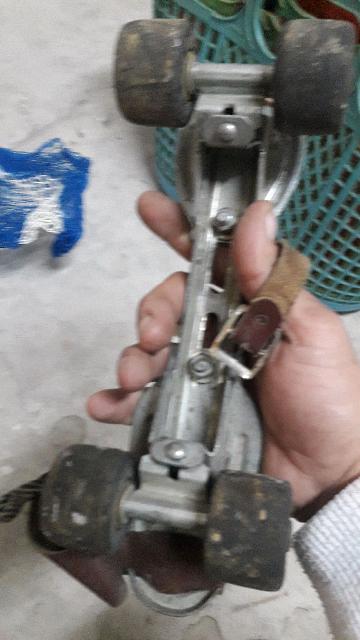 סקטים ראשונים שנת50_ 40